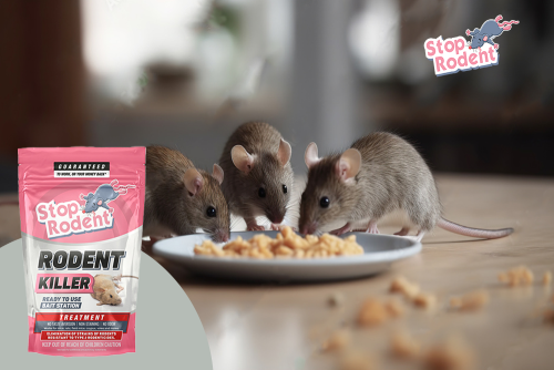 De wetenschap achter onze anti-knaagdierformule onthuld : hoe rattengif nauwkeurig en veilig omgaat met plagen