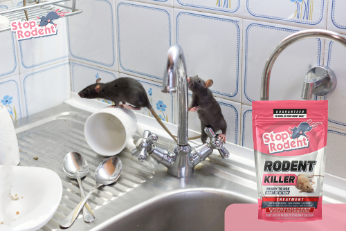 Hoe kunt u een veilig gebruik van rattengif garanderen om uw huis effectief te beschermen?
